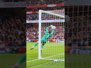Arsenal vs Inter Milan| Incredible Goal #highlights